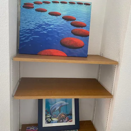 De Jardin Dans Maison