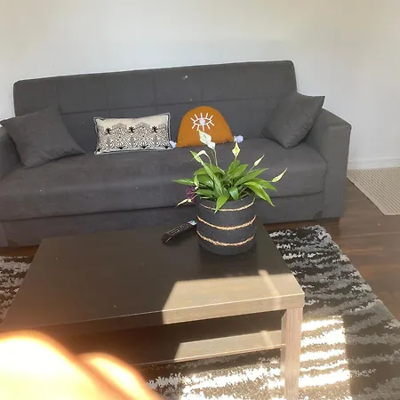 De Jardin Dans Maison