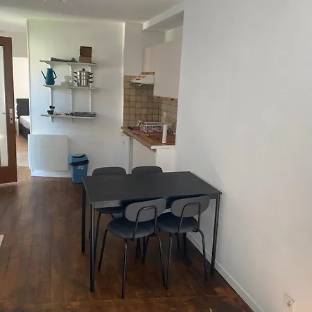 De Jardin Dans Maison Ντιζόν