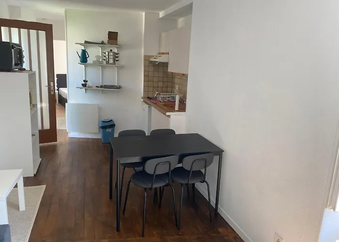 De Jardin Dans Maison Ντιζόν